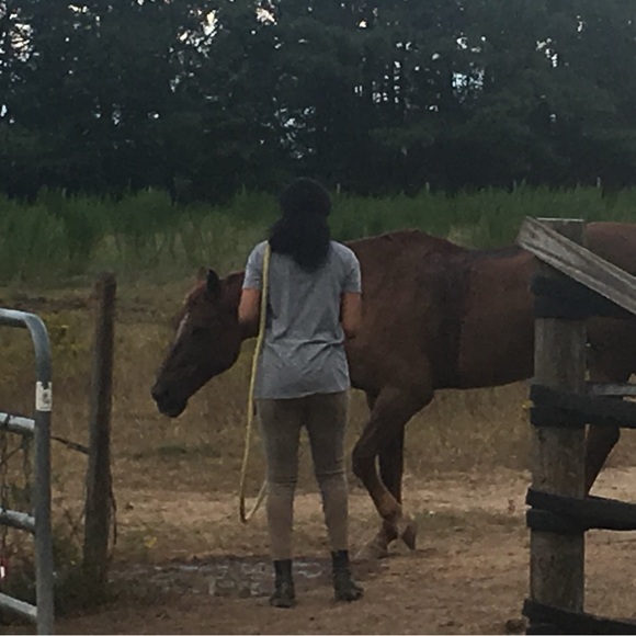 Breeches-Horseback Riding - Picture 4 of 7